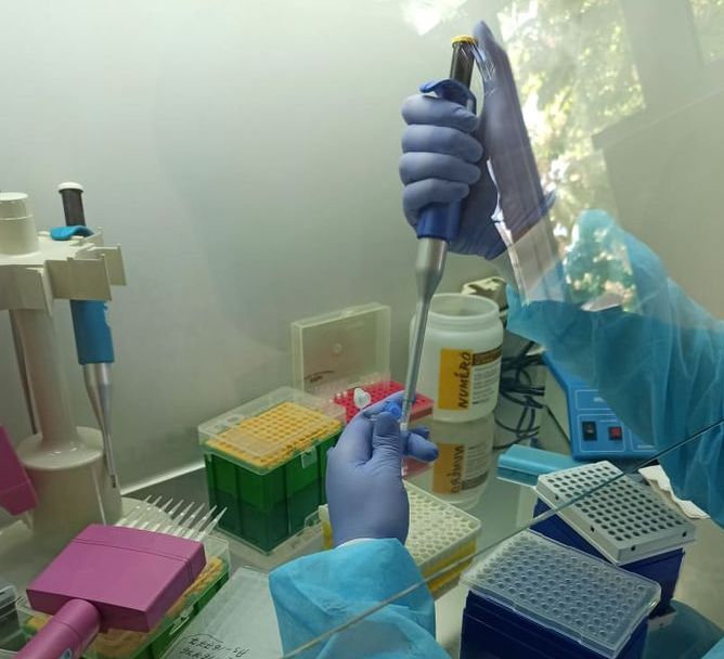 Коронавірус: у Києві лабораторний центр припинив тестування через перезавантаження