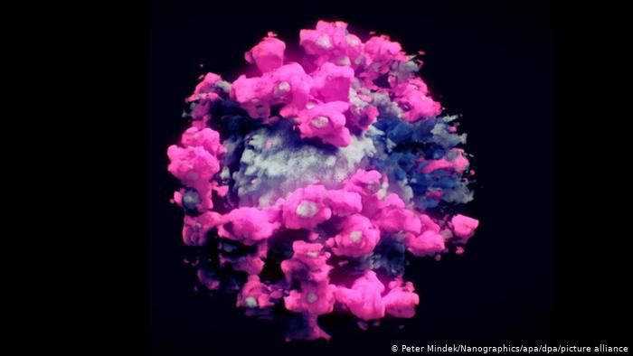 Перший випадок «індійського» штаму коронавірусу зафіксовано в Польщі