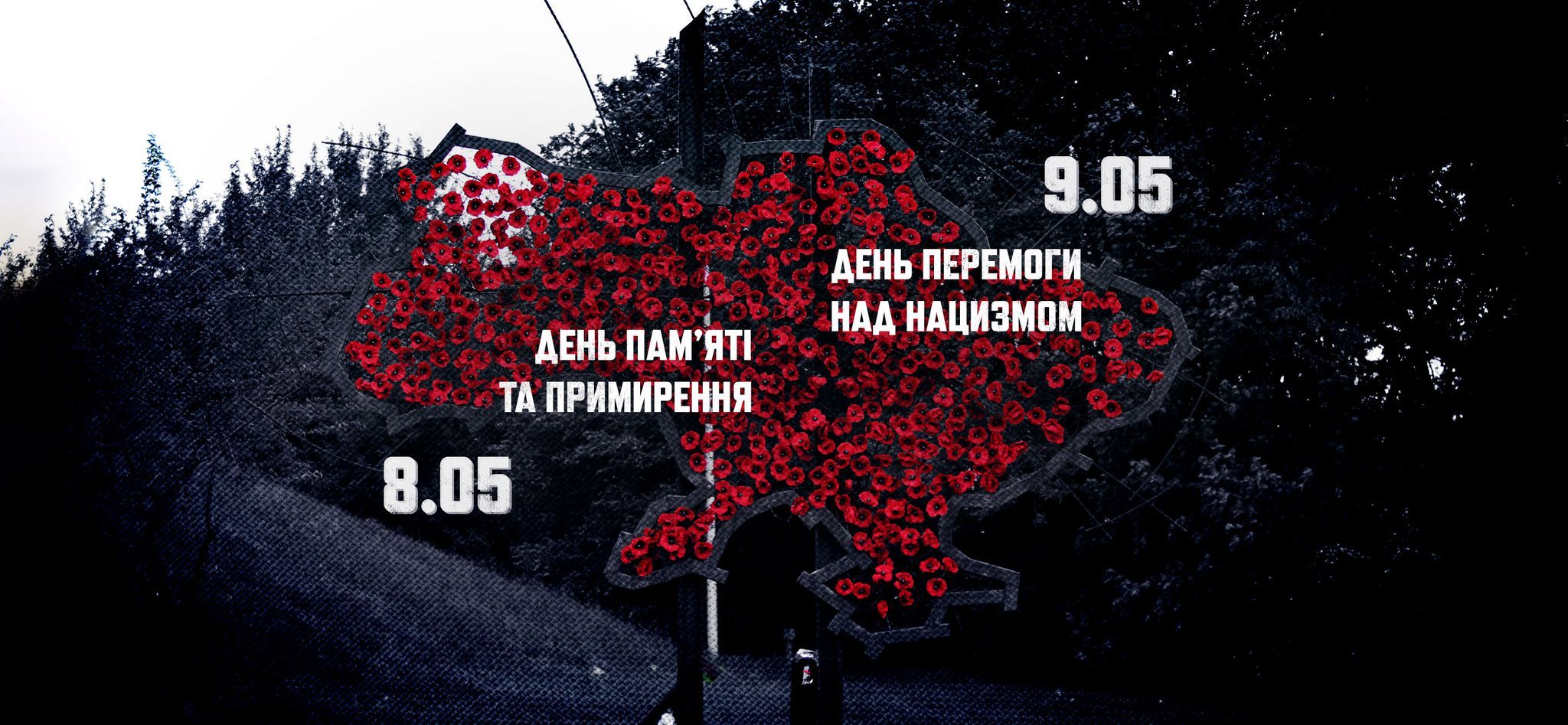 День пам’яті та примирення відзначають в Україні і світі