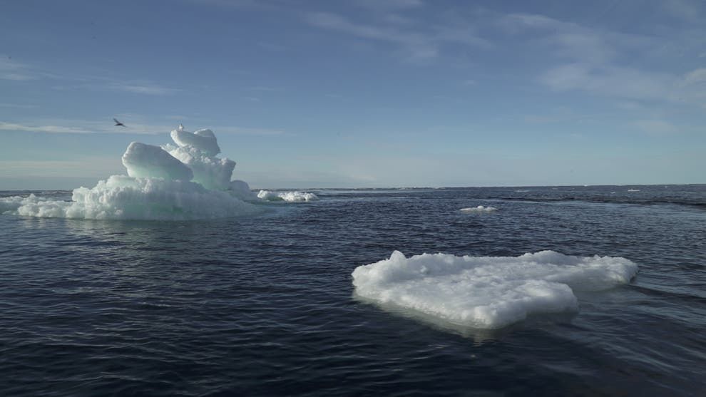 У Арктиці зафіксовано рекордну спеку