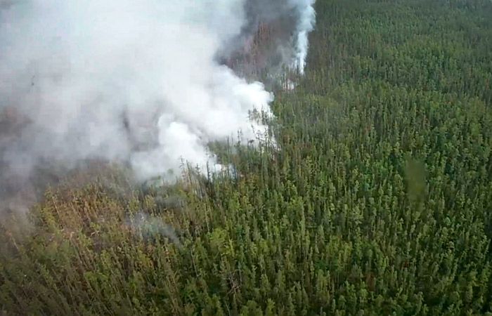 Вогонь в Росії знищив понад мільйон гектарів якутського лісу