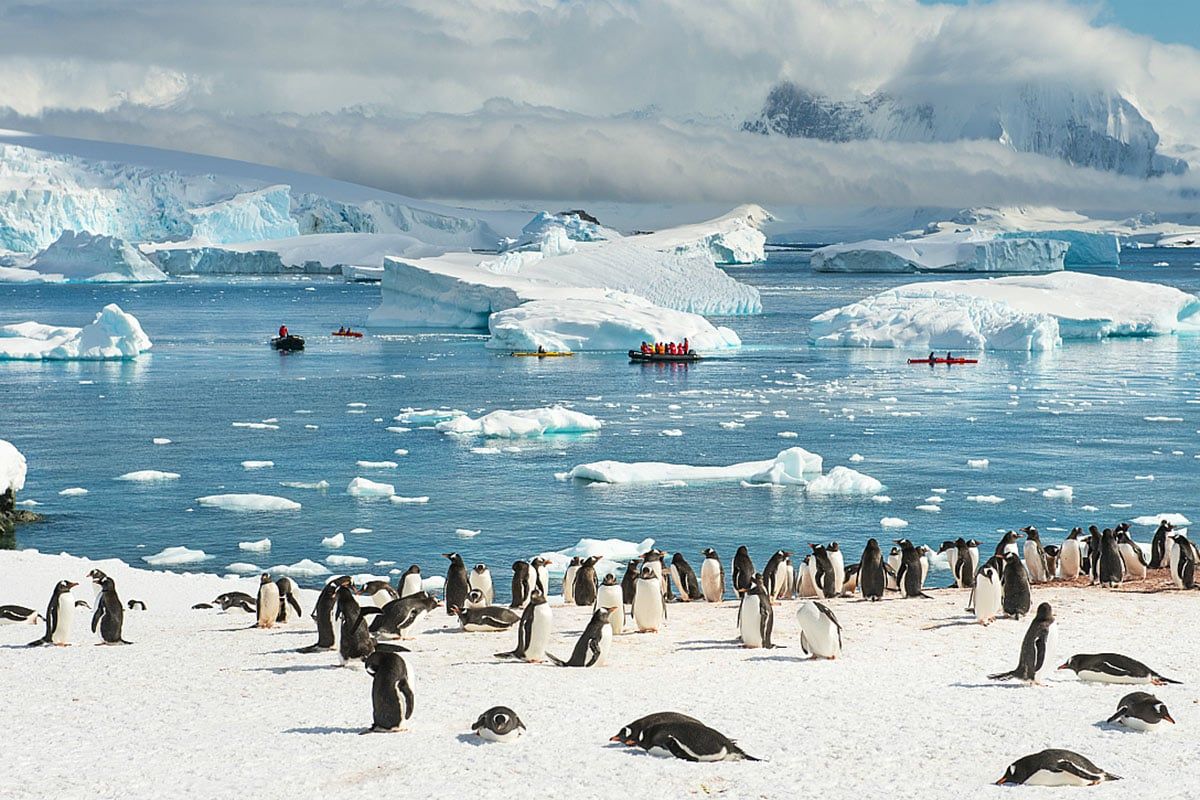 Стрибок температури: в Антарктиді зафіксували світовий рекорд